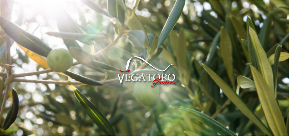 vegatoro-logo-field (kopie)